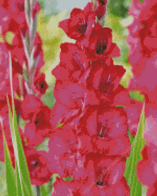 Pink Gladiolus Diamond Painting