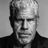 Ron Perlman Diamond Painting