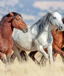 Wild Horses Diamond Painting