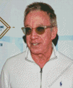 Tim Allen Actor Diamond Painting