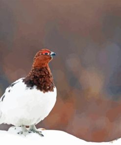 Willow Ptarmigan Diamond Painting