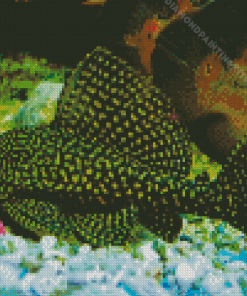 Common Pleco Fish Diamond Painting