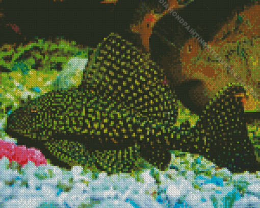 Common Pleco Fish Diamond Painting