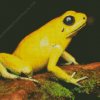 Golden Poison Dart Frog Diamond Painting