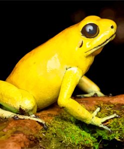 Golden Poison Dart Frog Diamond Painting