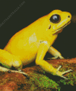 Golden Poison Dart Frog Diamond Painting