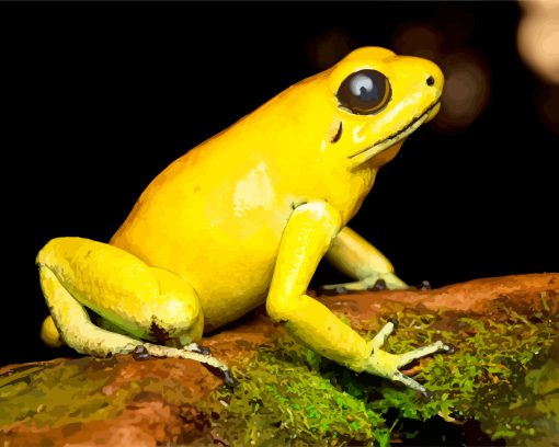 Golden Poison Dart Frog Diamond Painting