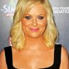 Amy Poehler Actress Diamond Painting