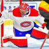 Carey Price Player Diamond Painting