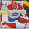 Carey Price Player Diamond Painting