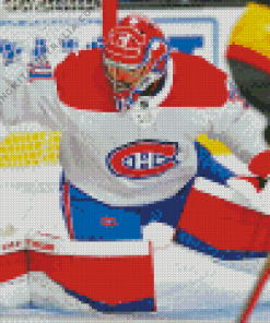 Carey Price Player Diamond Painting