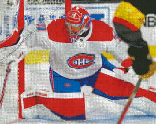 Carey Price Player Diamond Painting