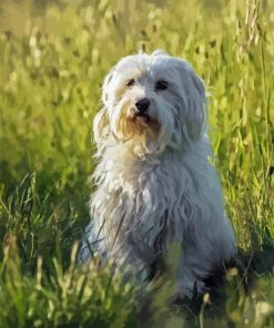 Coton Tulear Dog Diamond Painting