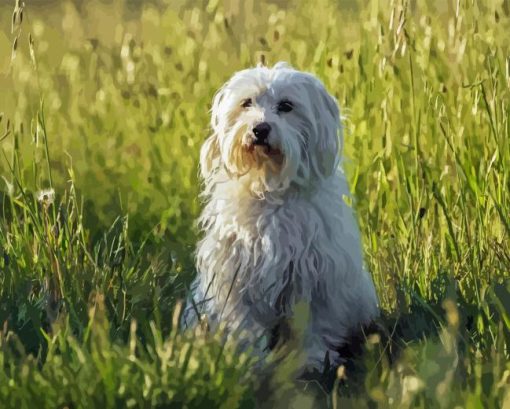 Coton Tulear Dog Diamond Painting