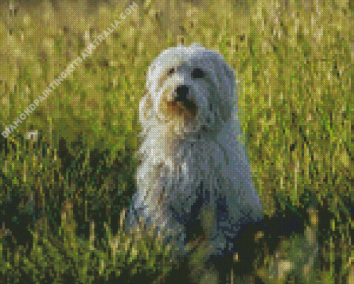 Coton Tulear Dog Diamond Painting