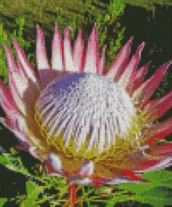 King Protea Diamond Painting