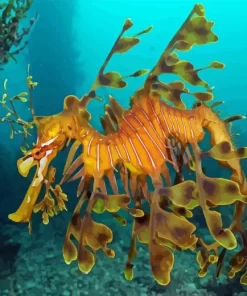 Leafy Seadragon Underwater Diamond Painting