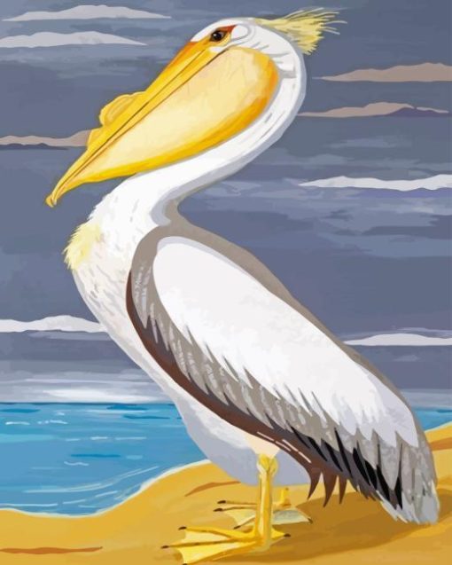 Pelican Bird Diamond Painting