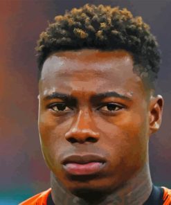 Quincy Promes Player Diamond Painting