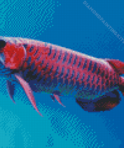 Red Asian Arowana Diamond Painting