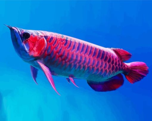 Red Asian Arowana Diamond Painting