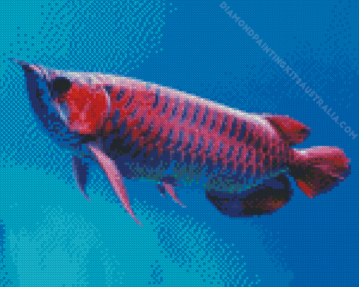 Red Asian Arowana Diamond Painting