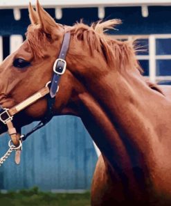 Secretariat Horse Diamond Painting