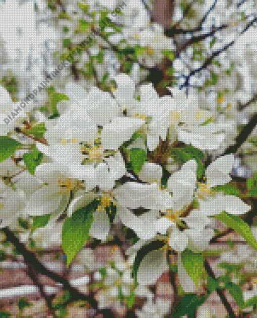 White Crabapple Diamond Painting