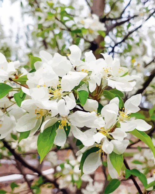 White Crabapple Diamond Painting