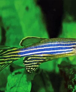 Zebrafish Diamond Painting