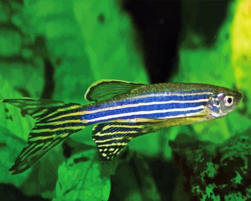 Zebrafish Diamond Painting