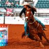 Barrel Racer Diamond Painting