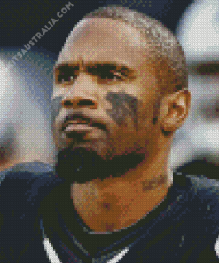 Charles Woodson Diamond Painting