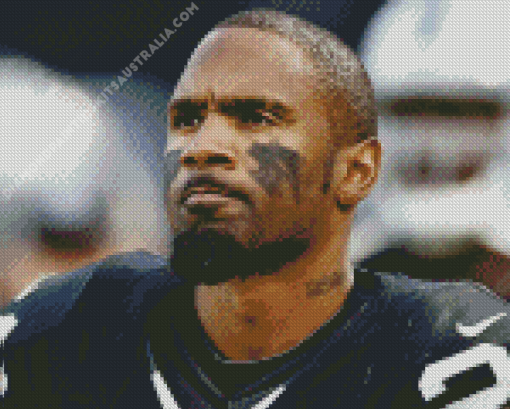 Charles Woodson Diamond Painting