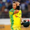 David Warner Player Diamond Painting