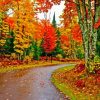 Fall Trees Diamond Painting