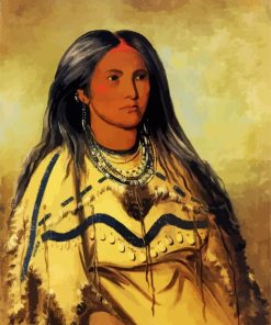 George Catlin Diamond Painting