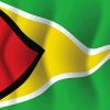 Guyana Flag Diamond Painting