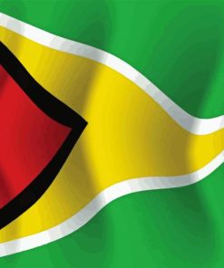 Guyana Flag Diamond Painting