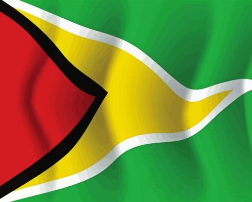 Guyana Flag Diamond Painting