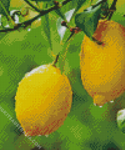 Lemon Plant Diamond Painting