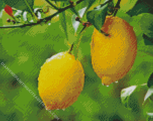 Lemon Plant Diamond Painting