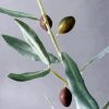 Olive Branch Diamond Painting