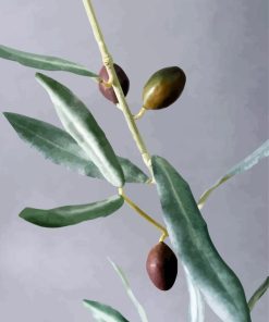 Olive Branch Diamond Painting