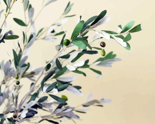 Olive Branch Diamond Painting