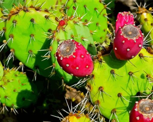 Prickly Pear Diamond Painting