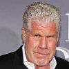 Ron Perlman Actor Diamond Painting