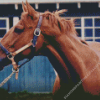 Secretariat Horse Diamond Painting