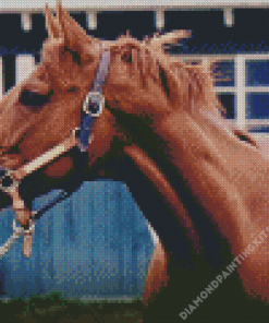 Secretariat Horse Diamond Painting