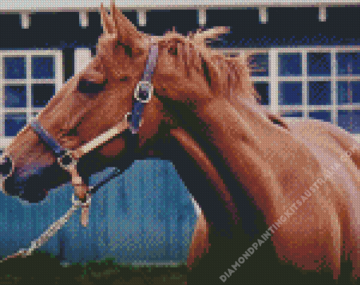 Secretariat Horse Diamond Painting